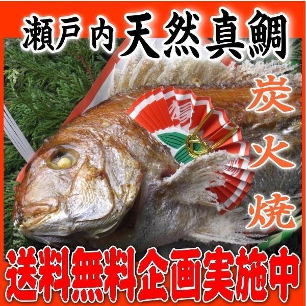 お食い初め 鯛 農林水産大臣賞 受賞 明石 淡路 瀬戸内 の 天然真鯛 1.7ｋｇアップ を炭火でじっくり、焼鯛 に 祝い鯛に最適な 尾頭付き鯛 の 焼き鯛