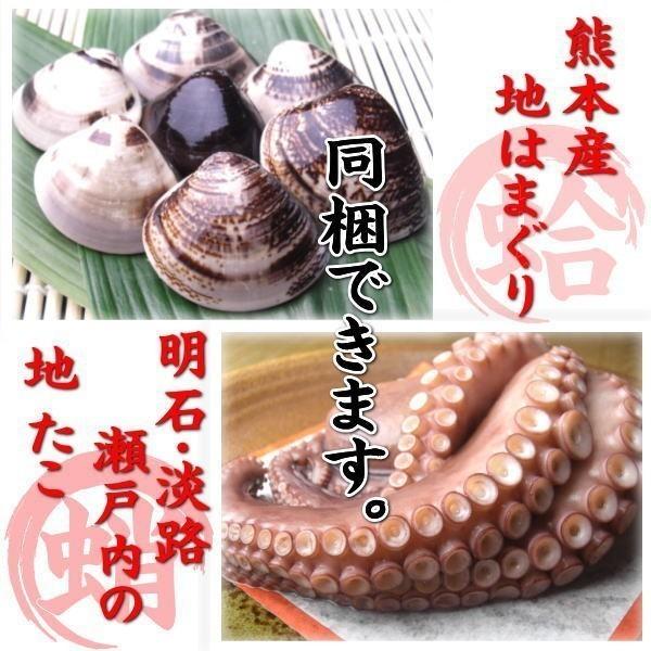 お食い初め 鯛 農林水産大臣賞 受賞 明石 淡路 瀬戸内 の 天然真鯛 1.7ｋｇアップ を炭火でじっくり、焼鯛 に 祝い鯛に最適な 尾頭付き鯛 の 焼き鯛_5