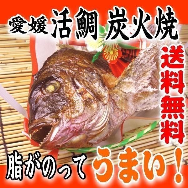 2940円 最大75 オフ お食い初め 鯛 愛媛 の 活 真鯛 2kgアップ最大級の鯛 を炭火でじっくり 焼鯛 に 祝い鯛に最適な 尾頭付き鯛 焼き鯛