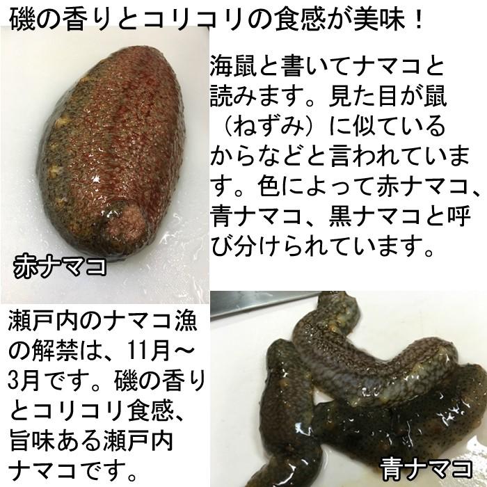 冬季限定 赤なまこ 活き 1kg 瀬戸内海産 ナマコ 海鼠 赤 生 Akanamako1 瀬戸内たいたいclub 通販 Yahoo ショッピング