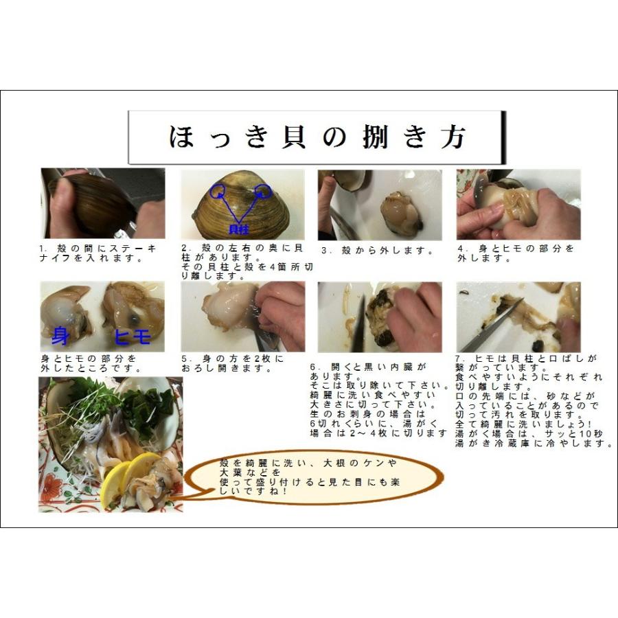殻付きホッキ貝 活き ほっき貝 北寄貝 ホッキガイ ３ｋｇ ８ １２個 Hokkigai3 瀬戸内たいたいclub 通販 Yahoo ショッピング