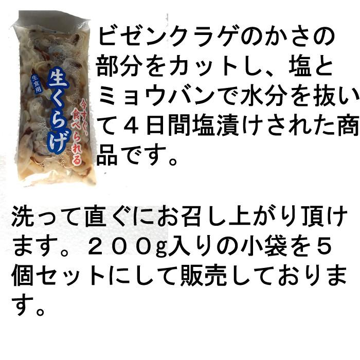 トップ100 ビゼンクラゲ 毒性 最高の花の画像