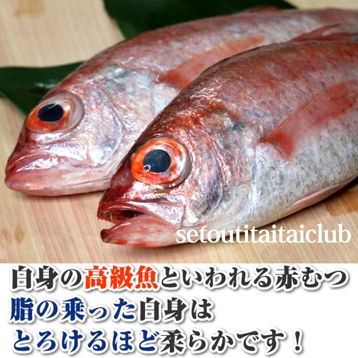 赤むつ のどぐろ ノドグロ 長崎 対馬産もしくは 山陰産 0ｇ S 0010 瀬戸内たいたいclub 通販 Yahoo ショッピング