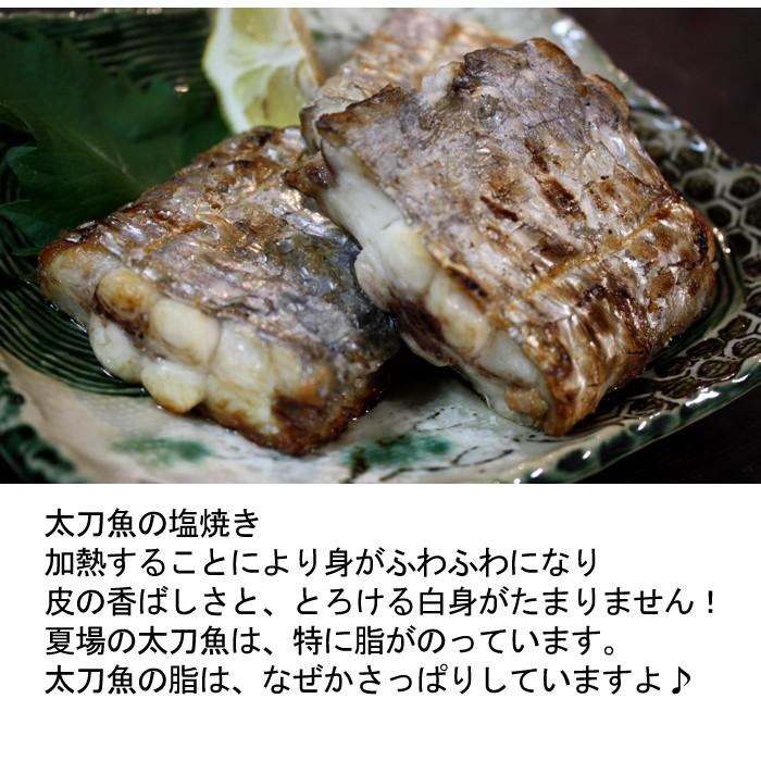 太刀魚 1kg 山口県周防大島産もしくは長崎のブランド五島太刀 釣り たちうお タチウオ お刺身 S 0016 02 瀬戸内たいたいclub 通販 Yahoo ショッピング