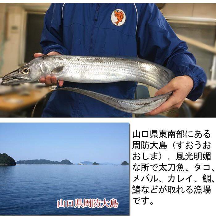 太刀魚 900g 山口県周防大島産もしくは長崎のブランド五島太刀 釣り たちうお タチウオ お刺身 S 0016 04 瀬戸内たいたいclub 通販 Yahoo ショッピング
