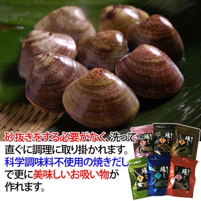 はまぐり0ｇ焼きだしセット お食い初め 蛤 ハマグリ 冷凍のご対応出来ます S 0024 Setto 瀬戸内たいたいclub 通販 Yahoo ショッピング