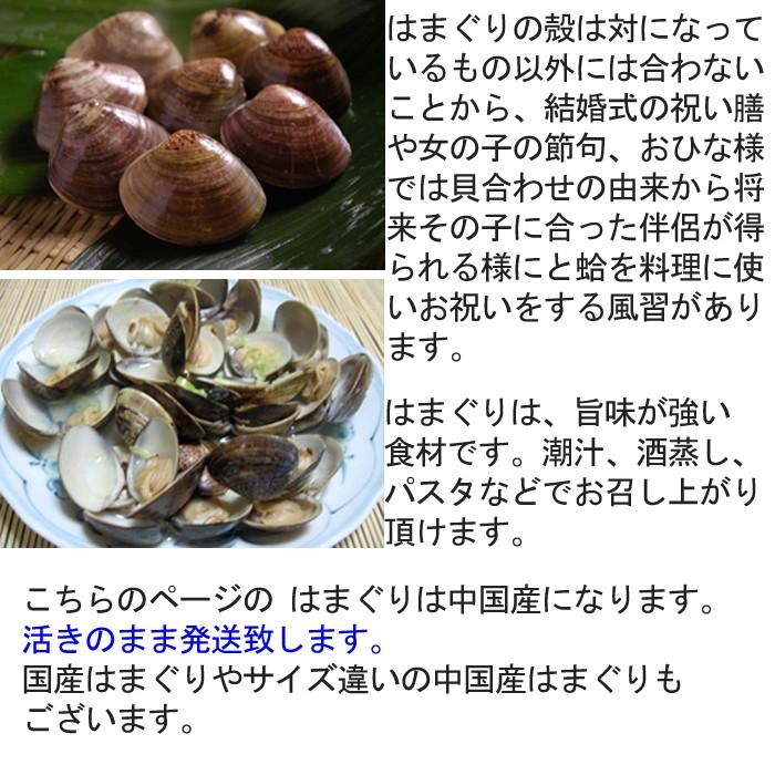 はまぐりs 酒蒸し 潮汁用 S 0024 瀬戸内たいたいclub 通販 Yahoo ショッピング
