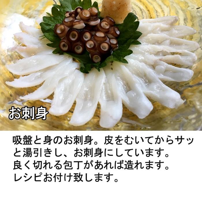 広島産 生真たこ 1 5ｋｇ タコ 蛸 生 刺身 しゃぶしゃぶ S 0039 瀬戸内たいたいclub 通販 Yahoo ショッピング