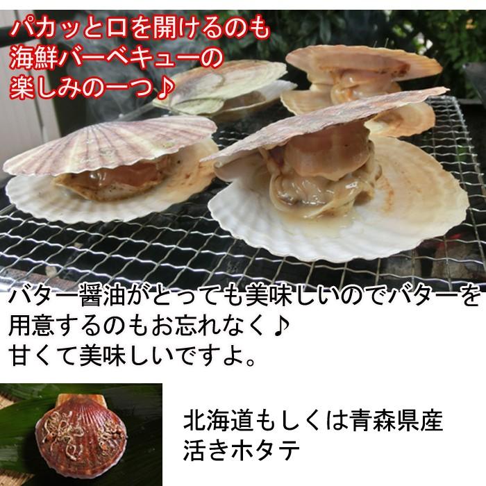 海鮮バーベキュー1人前セット えぞアワビ 養殖 1個 50g サザエ1個 80g ハマグリ2lx2個 ホタテ1個 エビ小 解凍 1個 S 0054 I 瀬戸内たいたいclub 通販 Yahoo ショッピング