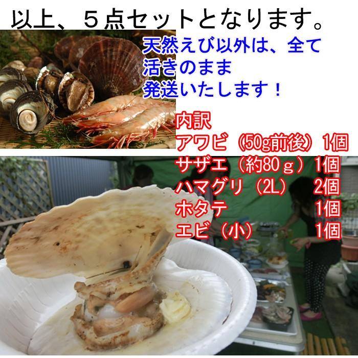 海鮮バーベキュー1人前セット えぞアワビ 養殖 1個 50g サザエ1個 80g ハマグリ2lx2個 ホタテ1個 エビ小 解凍 1個 S 0054 I 瀬戸内たいたいclub 通販 Yahoo ショッピング