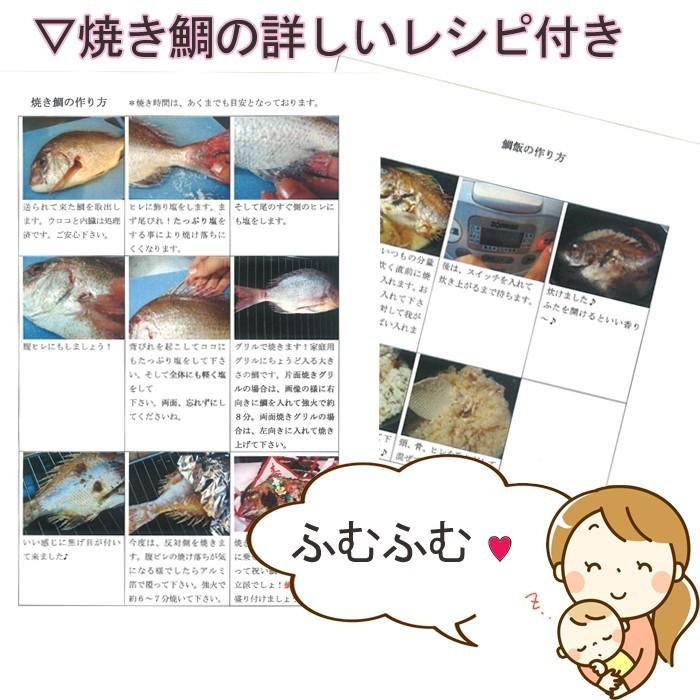 送料無料 お食い初め セット赤飯 冷凍 料理 鯛 赤飯 はまぐり 酢漬け タコ足 いくら えび 鯛かご 飾り 赤飯 容器 祝い箸 食器 レシピ 百日祝い S 0055 Reitou 瀬戸内たいたいclub 通販 Yahoo ショッピング