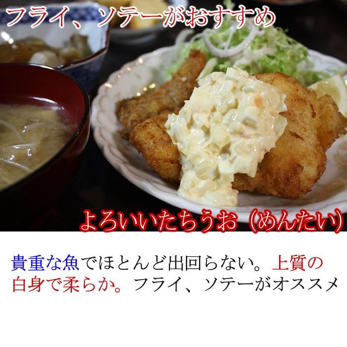 メンタイ よろいいたちうお 加熱用 １尾約800ｇ 長崎産 4人前 S 0059 F 瀬戸内たいたいclub 通販 Yahoo ショッピング