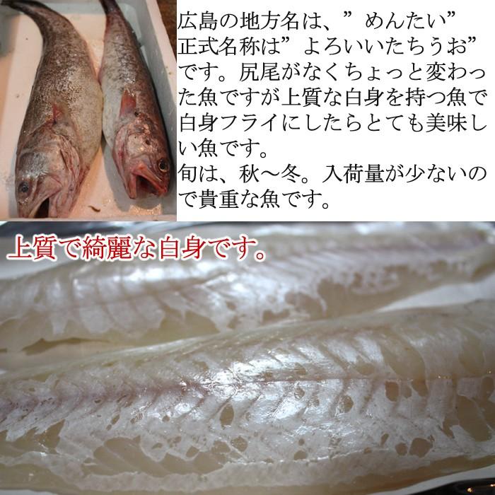 メンタイ よろいいたちうお 加熱用 １尾約800ｇ 長崎産 4人前 S 0059 F 瀬戸内たいたいclub 通販 Yahoo ショッピング