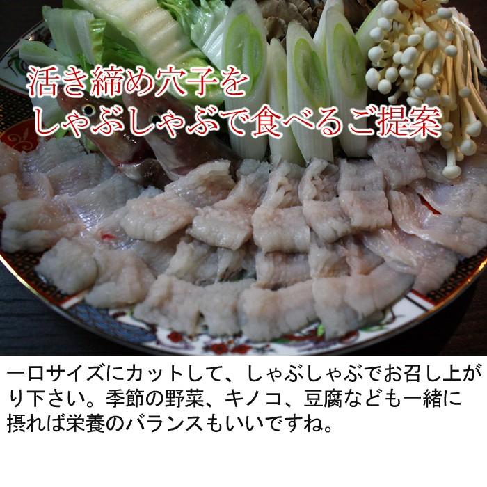 穴子三昧セット しゃぶしゃぶ用 刺身用のセット 長崎県産 3 4人前 焼きだし付き あなご アナゴ 国産 活き締め 生 S 0064 04 瀬戸内たいたいclub 通販 Yahoo ショッピング