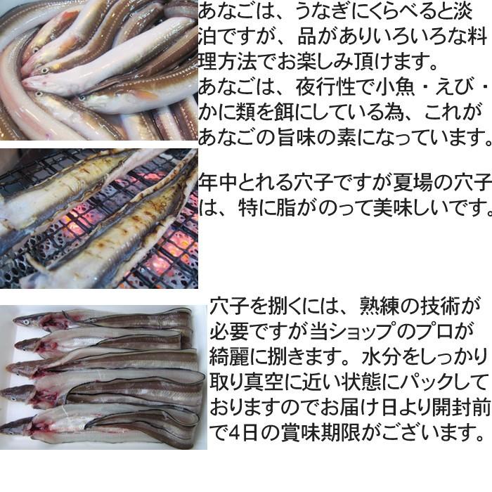 スペシャルオファ 穴子 あなご 開き 1尾150g 前後 長崎産 アナゴ 国産 活き締め 生 Wantannas Go Id