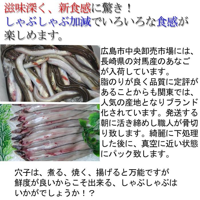 穴子 あなご 骨切り済み しゃぶしゃぶ用 長崎県産 1尾100ｇ前後 国産 活き締め 生 骨お付け致します 0 5 1人前 S 0064 B1 瀬戸内たいたいclub 通販 Yahoo ショッピング