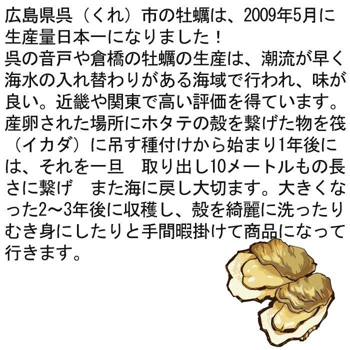 広島特産　牡蠣 「 かき小町 」 殻付き（ かき ）20個セット 軍手 ナイフ付き（ 生 ）｜taitai｜03