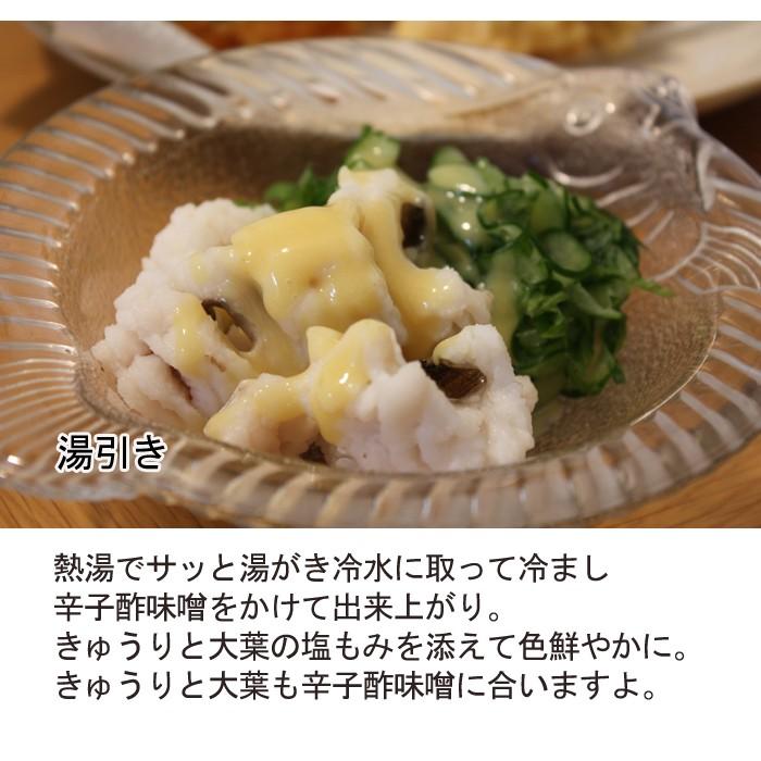 瀬戸内海産 活き締め鱧 はも 600g 湯引き用の辛子酢みそ付き 3 4人前 鱧しゃぶ S 0092 瀬戸内たいたいclub 通販 Yahoo ショッピング