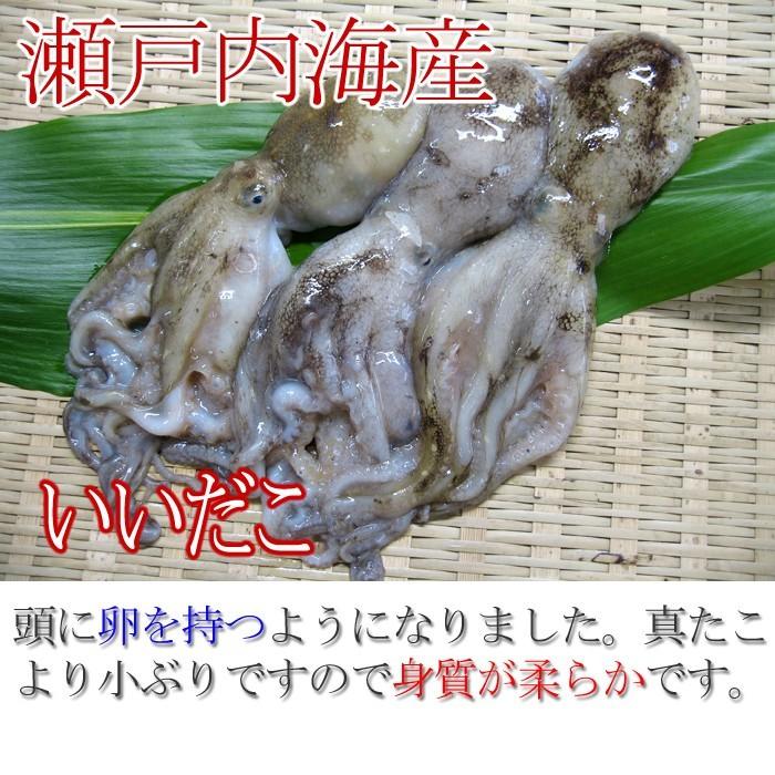 いいだこ500ｇ 瀬戸内海産もしくは佐賀産 この時期 卵を持っています イイダコ 飯蛸 子持ち たこ S 0124 瀬戸内たいたいclub 通販 Yahoo ショッピング