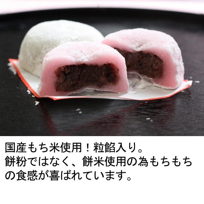 紅白大福餅 紅白餅 餡入り 65ｇx2個 冷凍 上棟式 結婚式 敬老の日 卒業 入学 合格 祝い 退職 お返し お菓子 引き菓子 プチギフト あん入り 粗品 S 0163 2 瀬戸内たいたいclub 通販 Yahoo ショッピング