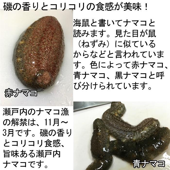 青なまこ 活き 1kg 瀬戸内海産 ナマコ 海鼠 青 生 S 0173e 瀬戸内たいたいclub 通販 Yahoo ショッピング