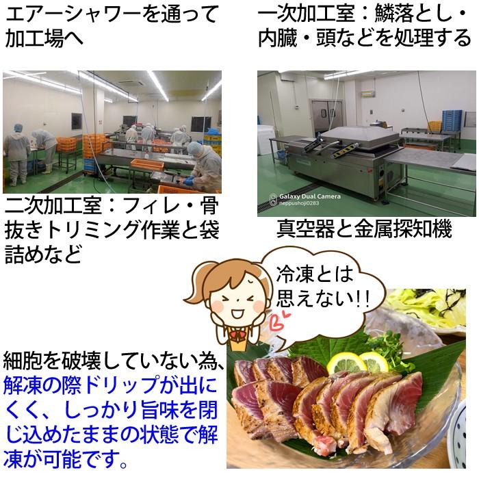 すまがつお タタキ 3d凍結 約500ｇ 千葉県勝浦産 スマガツオ ヤイトガツオ すまかつお スマカツオ 刺身 たたき 幻の魚 S 141 S1 瀬戸内たいたいclub 通販 Yahoo ショッピング