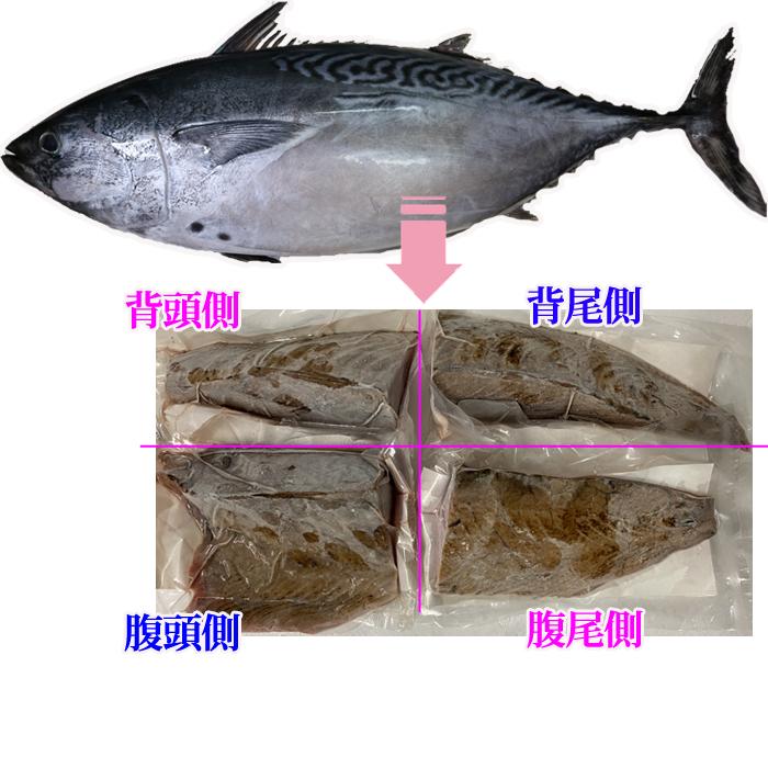 すまがつお タタキ 3d凍結 約500ｇ 千葉県勝浦産 スマガツオ ヤイトガツオ すまかつお スマカツオ 刺身 たたき 幻の魚 S 141 S1 瀬戸内たいたいclub 通販 Yahoo ショッピング