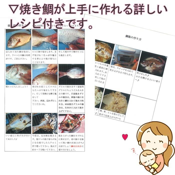祝い鯛用かご 飾り 敷き紙 尾のし 赤飯を入れる箱 祝い箸 レシピ付き ベビー食器 Taikago Sekihannhako 瀬戸内たいたいclub 通販 Yahoo ショッピング