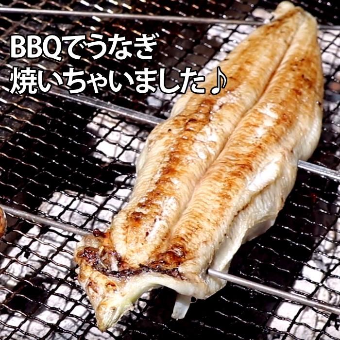 生うなぎ 活き締め 1尾約300gX5尾（ 愛知県もしくは台湾産 養殖 ）骨、肝、タレ付き バーベキューにも ( 鰻 ウナギ )｜taitai｜02