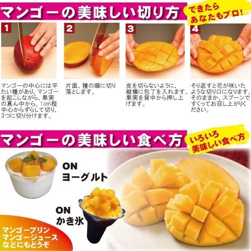 お中元 御中元 ギフト アップルマンゴー5kg 台湾産 期間限定 送料無料 Mango5 台灣物産館 通販 Yahoo ショッピング