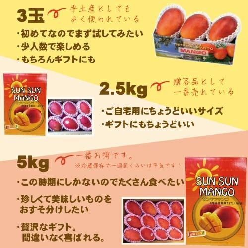 お中元 御中元 ギフト アップルマンゴー5kg 台湾産 期間限定 送料無料