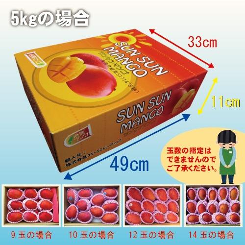 台湾産 アップルマンゴー 5kg 詰め合わせ お中元 御中元 ギフト アップルマンゴー5kg 台湾産 期間限定 送料無料
