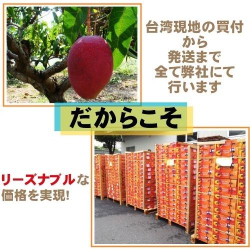 お中元 御中元 ギフト アップルマンゴー5kg 台湾産 期間限定 送料無料