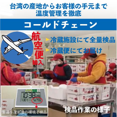 お中元 御中元 ギフト アップルマンゴー5kg 台湾産 期間限定 送料無料｜taiwanbussankan｜09