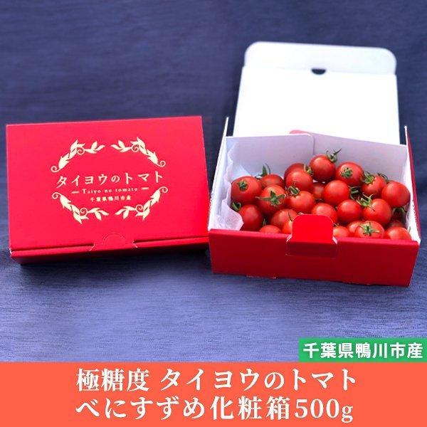 トマト フルーツトマト 産地直送 千葉県産 お取り寄せ タイヨウのトマトべにすずめ化粧箱500g｜taiyo-no-tomato-shop