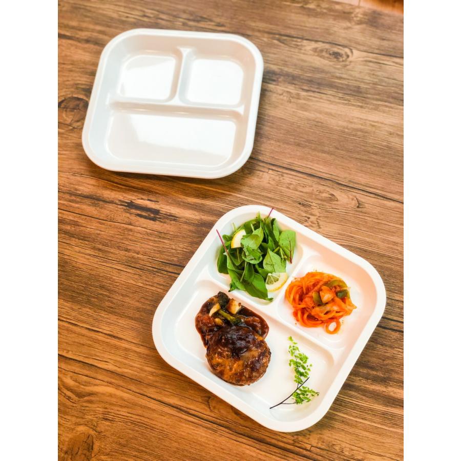 スクエアランチプレート 22×22cm 日本製 プラスチック レンジ 食洗機対応 Basicシリーズ |  | 01