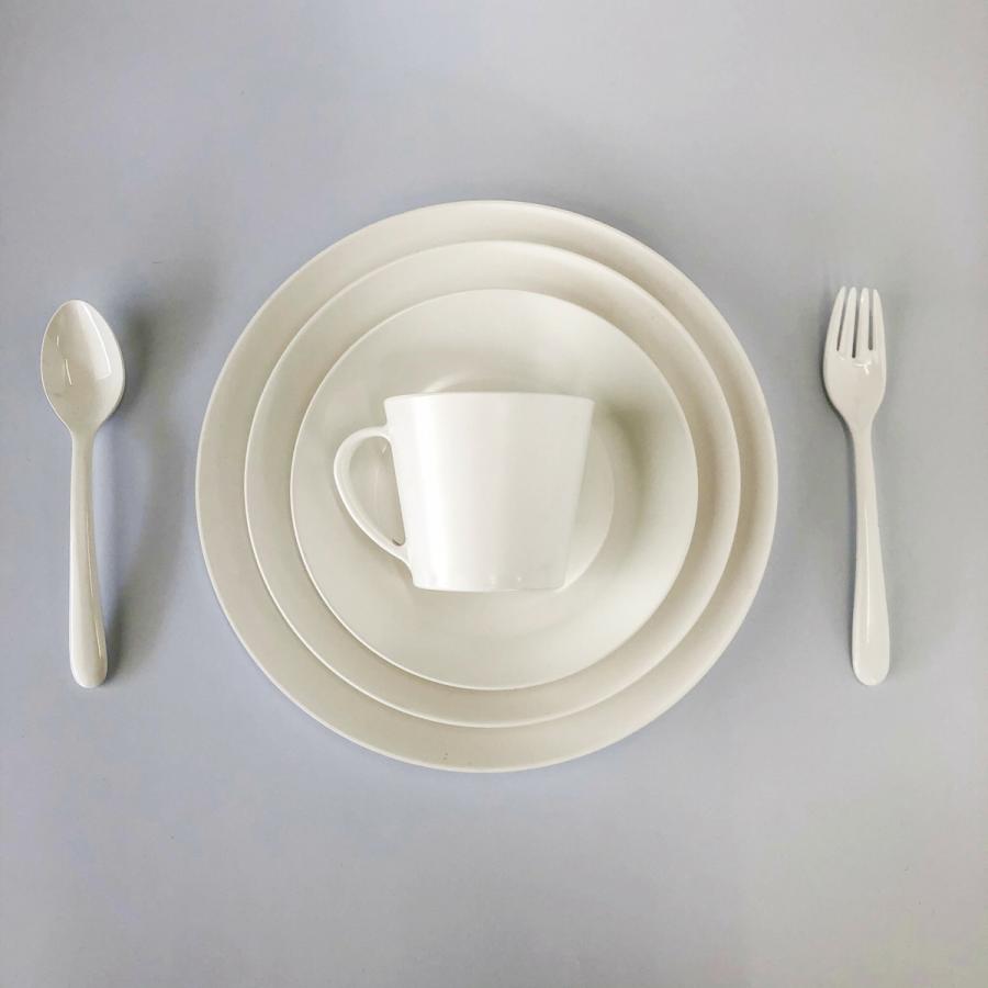 フォーク 18cm プラスチック 電子レンジ 食洗機対応 Basicシリーズ |  | 06