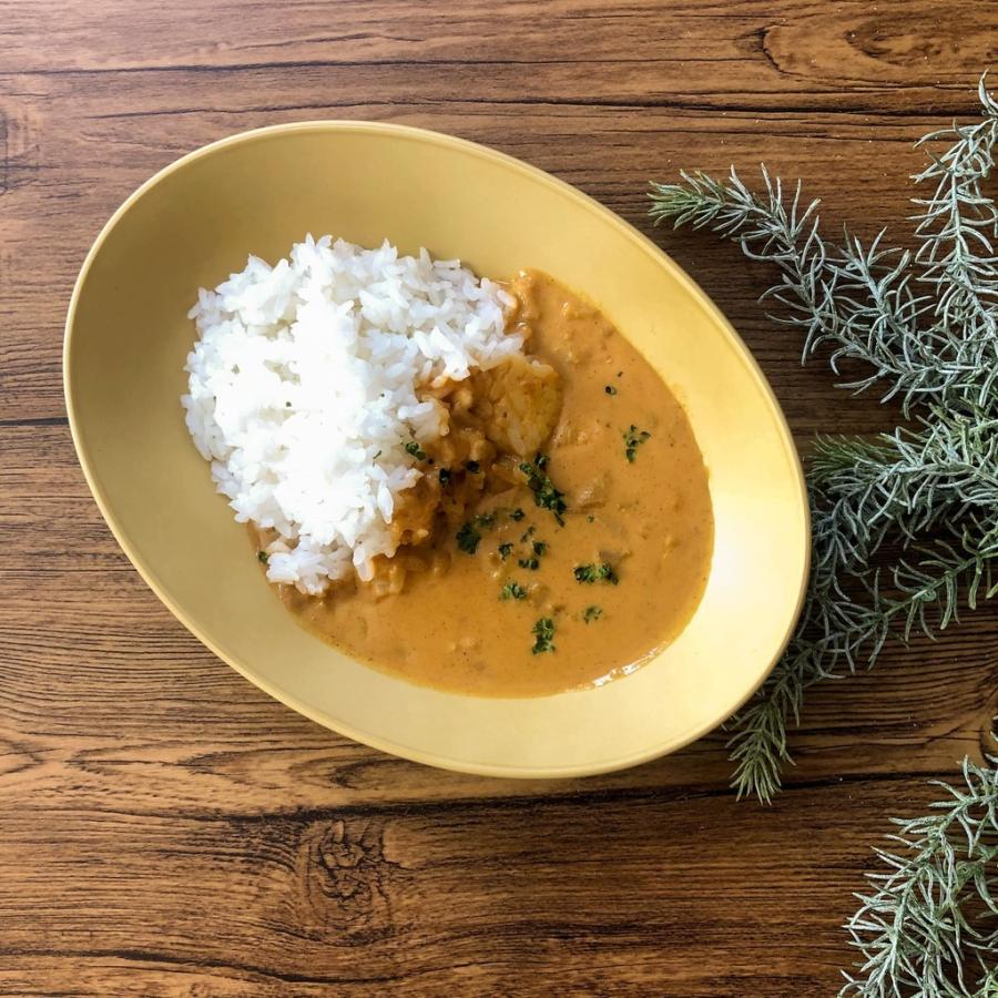 カレー皿 22.5×16.5cm 日本製 プラスチック 電子レンジ 食洗機対応 ナチュラルシリーズ |  | 05