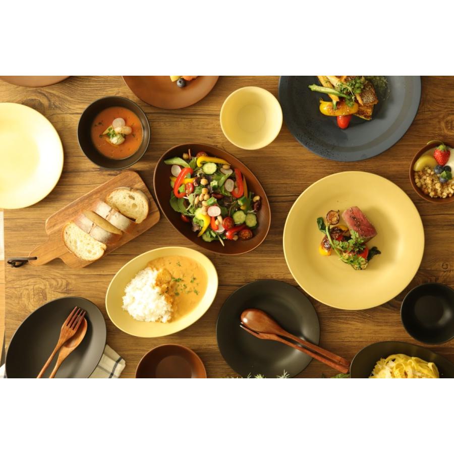 一人暮らし用食器4点セット 日本製 プラスチック 電子レンジ 食洗機