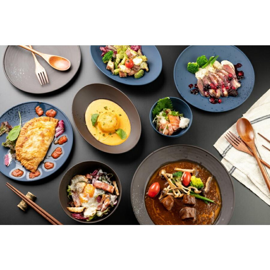 カレー皿 25.5×16.5cm 日本製 プラスチック 軽い 電子レンジ 食洗機対応 和食器シリーズ |  | 02