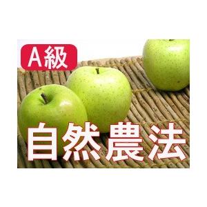 (A級品)竹嶋有機農園の自然農法りんご 王林　約10ｋｇ ※4月〜クール便