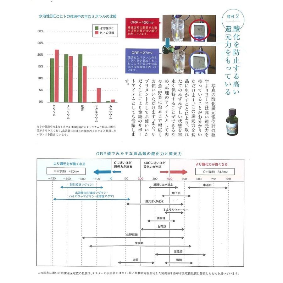 (野生植物ミネラル) マグマBIE原末 100ｇ(2gx50) ※6箱セットで10%オフ 更にポイント10倍！※中山栄基先生の野生植物ミネラルの画像