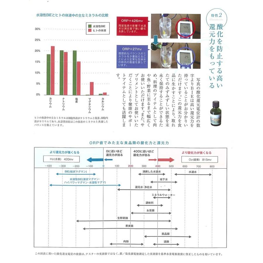マグマンE (粒）100ｇ(約330粒）※ポイント10倍の画像