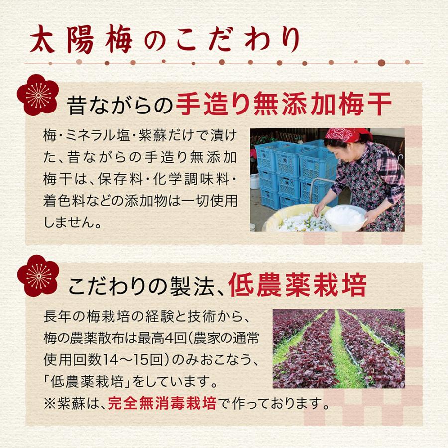 南高梅250g「第6回梅干コンクール最優秀賞受賞者が漬けた梅干」 昔ながらのすっぱ〜いしょっぱ〜い梅干 無添加 |  | 04