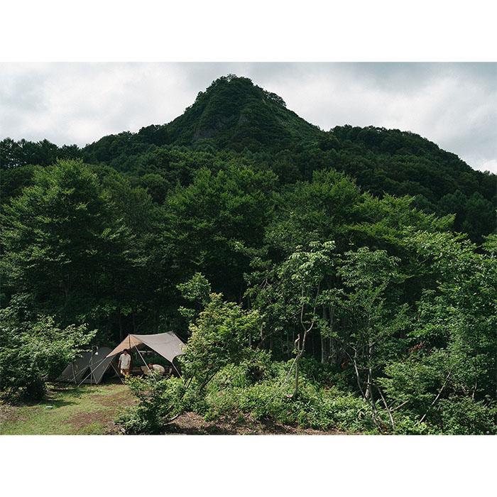 snow peak（スノーピーク） ランドネストタープ セット ポール・ペグ