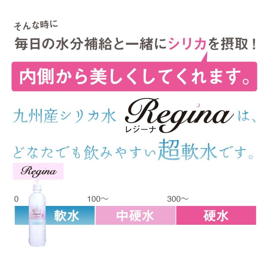 シリカ水 525ml 40本 シリカウォーター 天然水 天然シリカ ミネラルウォーター 水 軟水 レジーナ 国産 大分県産｜taiyouno-lemon｜06