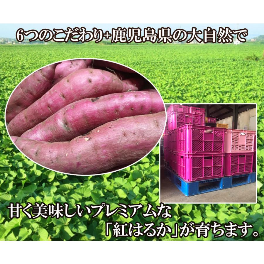 焼き芋 さつまいも 紅はるか 4kg サツマイモ 冷凍焼き芋 焼き芋 さつまいも 紅はるか 4kg サツマイモ 冷凍焼き芋