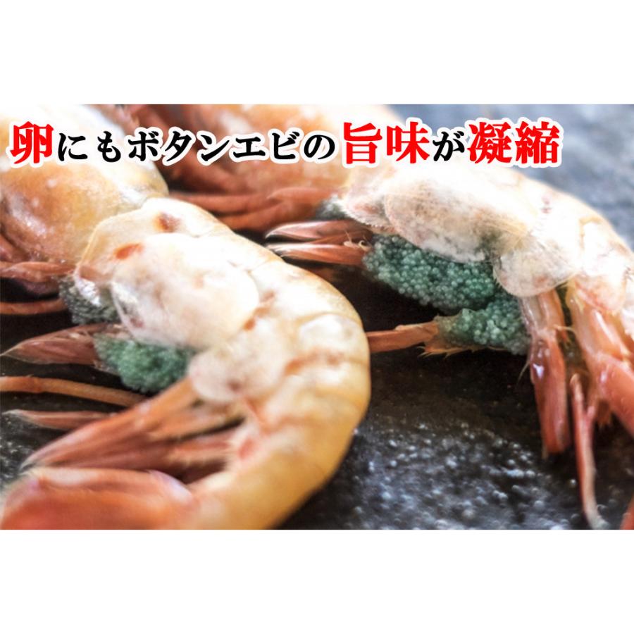 ボタンエビ 牡丹えび 特大 子持ちボタンエビ 500g 約8 9尾入り 送料無料 えび エビ 海老 有頭えび お刺身用 ロシア産 Shrimp R B500 太陽のレモン 通販 Yahoo ショッピング