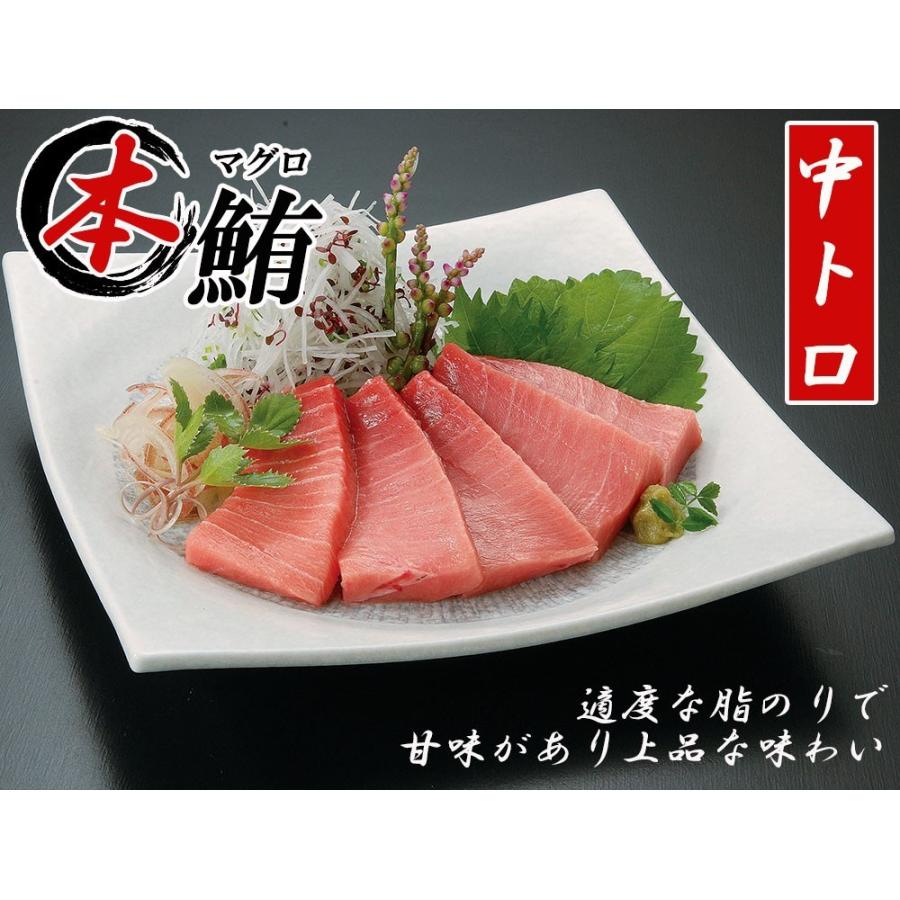 まぐろ 本マグロ 中トロ 500g 送料無料 刺身 マグロ 鮪 本まぐろ トロ Tt C 500 太陽のレモン 通販 Yahoo ショッピング