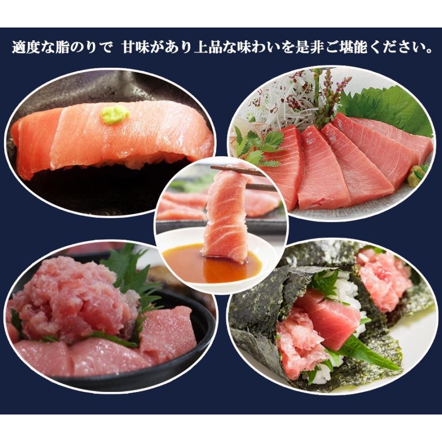 まぐろ 本マグロ 中トロ 500g 送料無料 刺身 マグロ 鮪 本まぐろ トロ Tt C 500 太陽のレモン 通販 Yahoo ショッピング